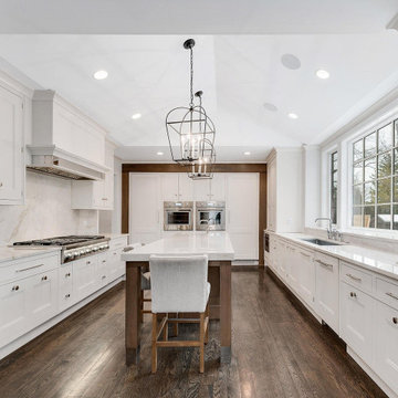 843 Lincoln Hinsdale Luxury Home