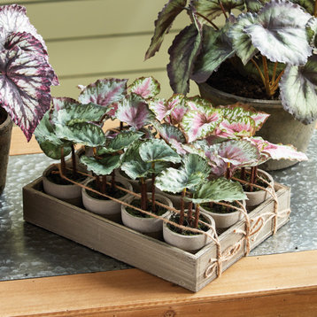 Set 12 Mini Begonia Faux Floral Plants in Pots Rustic Gift Purple Green Leaves