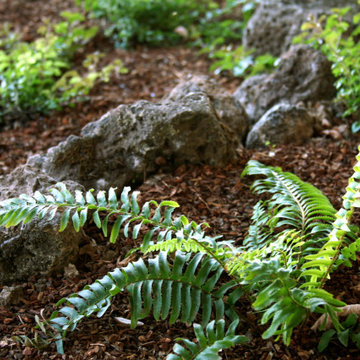 At Home in a Natural California Garden