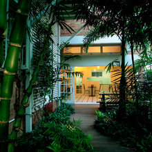 landscape tropical