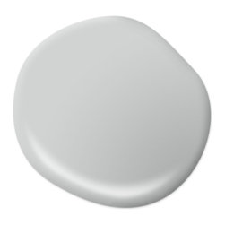 Platinum PPU26-11 - Paint