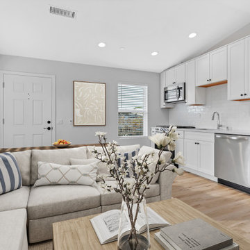 Living Room / Kitchen