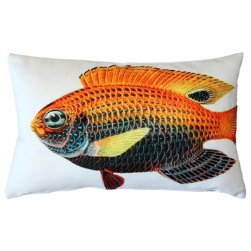 Pillow Decor - Princess Damselfish Fish Pillow 12 x 20