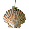 Tropical Beach Seashell Christmas Ornament Spotted ORNShell02 Resin