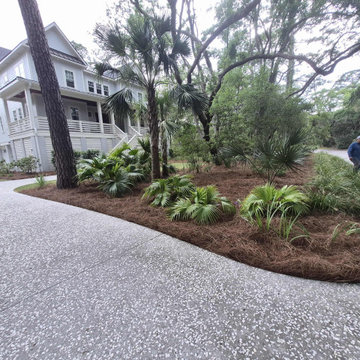 Coastal Landscape Maintenance and Tree Care