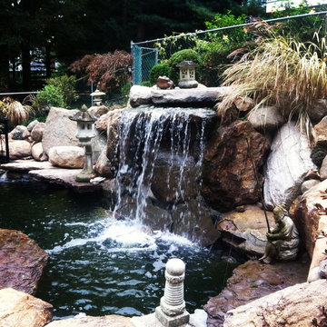 waterfall pond with bridge and turtle pond