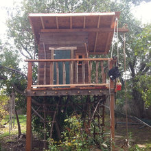 tree house