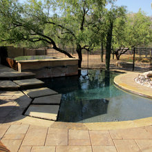 Backyard thoughts