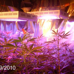 LED Aquarium Light - Products