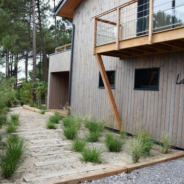 Le chemin dans les dunes, à travers les graminées