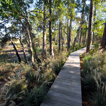 Kiawah Island Marsh-front Landscape