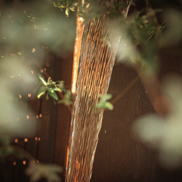 Queen Anne Craftsman - A Garden of Details