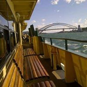 Frances Dawe's photo