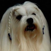 Maddie Devoir's photo