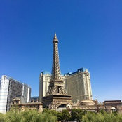 Dina Brasco's photo