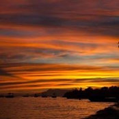 Carolann Bledsoe's photo