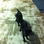 Jan Thomas's photo