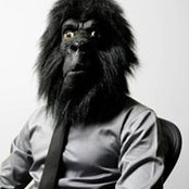 David Bains foto