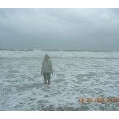 Kathy Crane's photo