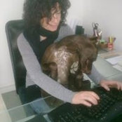 Daniela Capulli's photo