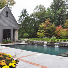 Outside/Yard/Pool