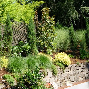 Urban Oasis