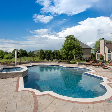 Elgin, IL Roman End Pool with Freeform Hot Tub