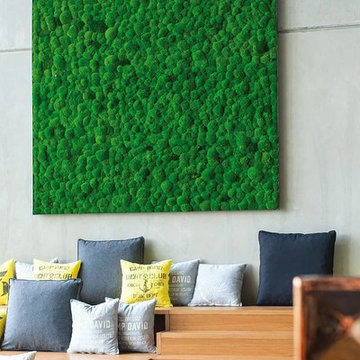 Preserved Plants Moss Design