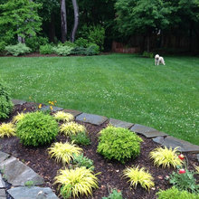 megan_weaver88's Ideas