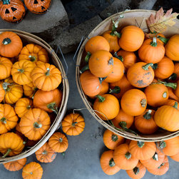 Harvest Festival - Products