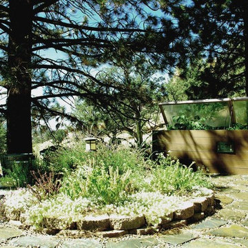 Lynne Latham Sustainable Design