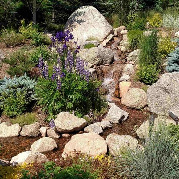 Backyard Garden and stream