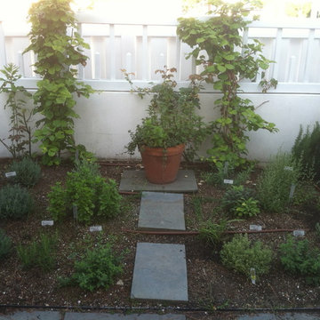 Vegetable & Herb Gardens