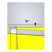 webuser_2287406's Ideas