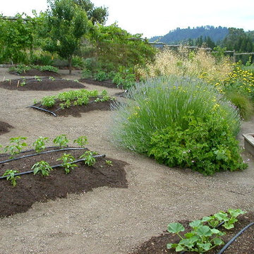 Vegetable gardens