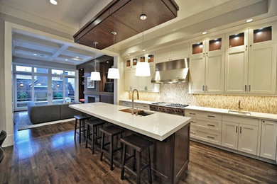 Example of a minimalist kitchen design in Chicago