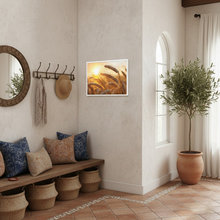Decor Style
