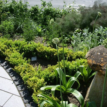 Knot Garden