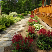 Cabin Deck