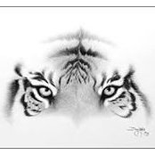 Aleem Alis foto