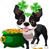 Brenda Cunningham's photo