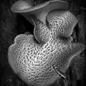 Becky Burston's photo