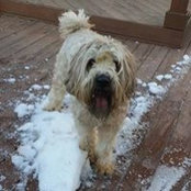 Diane Litofsky's photo