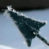 Foto von Dorothy Slyfield Meconi