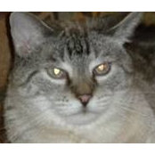 Anna Mccann's photo