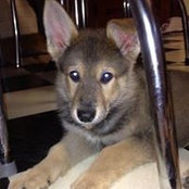 Robyn Stiegemeier's photo