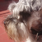 Foto de nadingisela