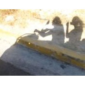 Stefi Cooke's photo