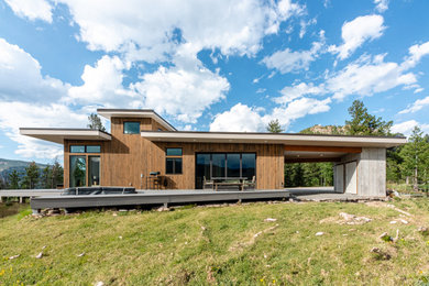 Inspiration for a mid-sized modern brown one-story wood exterior home remodel in Denver with a white roof