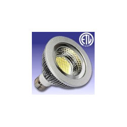 120V 13 Watt LED COB PAR30 - Led Bulbs